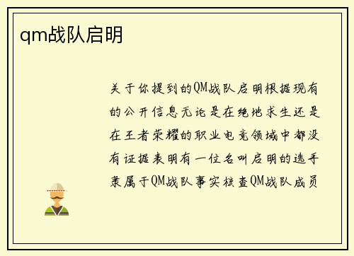 qm战队启明